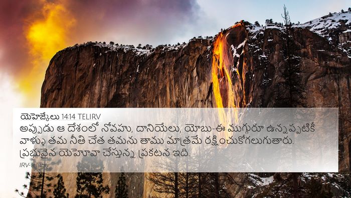 యెహెజ్కేలు 14:14 TELIRV Bible Verse Image