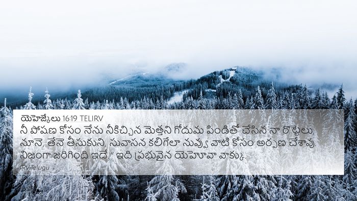 యెహెజ్కేలు 16:19 TELIRV Bible Verse Image