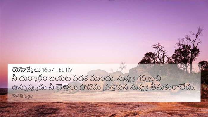 యెహెజ్కేలు 16:57 TELIRV Bible Verse Image