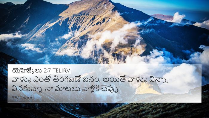 యెహెజ్కేలు 2:7 TELIRV Bible Verse Image