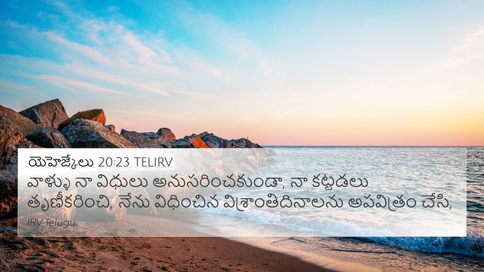 యెహెజ్కేలు 20:23 TELIRV Bible Verse Image