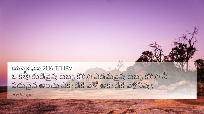 యెహెజ్కేలు 21:16 TELIRV Bible Verse Image