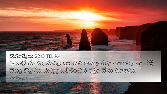 యెహెజ్కేలు 22:13 TELIRV Bible Verse Image