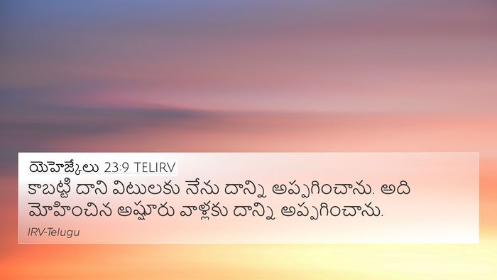 యెహెజ్కేలు 23:9 TELIRV Bible Verse Image