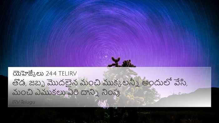 యెహెజ్కేలు 24:4 TELIRV Bible Verse Image