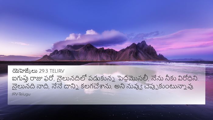 యెహెజ్కేలు 29:3 TELIRV Bible Verse Image