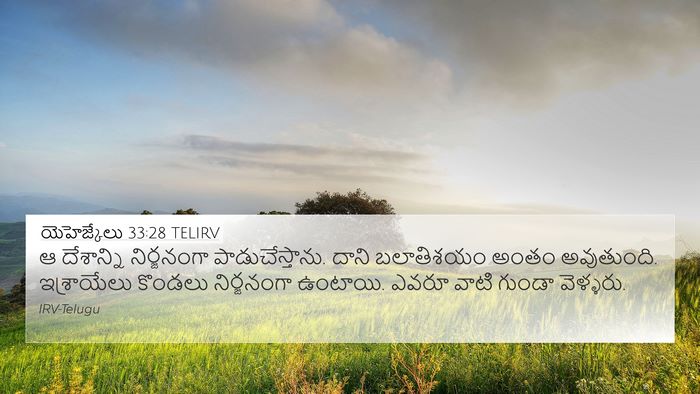 యెహెజ్కేలు 33:28 TELIRV Bible Verse Image