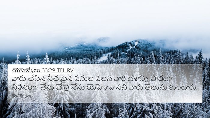 యెహెజ్కేలు 33:29 TELIRV Bible Verse Image