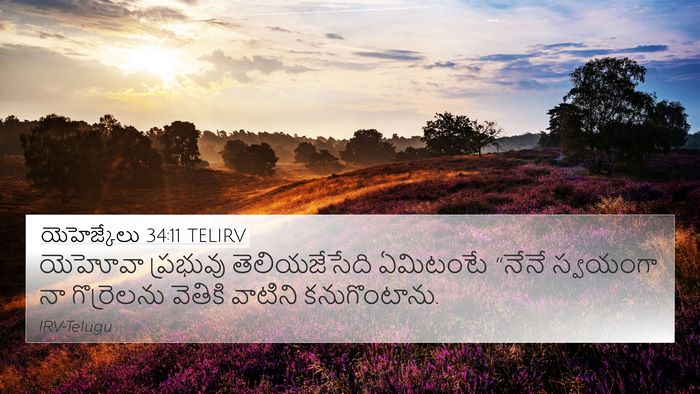 యెహెజ్కేలు 34:11 TELIRV Bible Verse Image