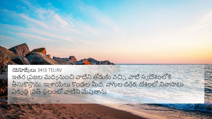 యెహెజ్కేలు 34:13 TELIRV Bible Verse Image