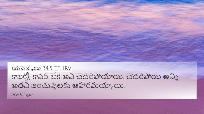 యెహెజ్కేలు 34:5 TELIRV Bible Verse Image