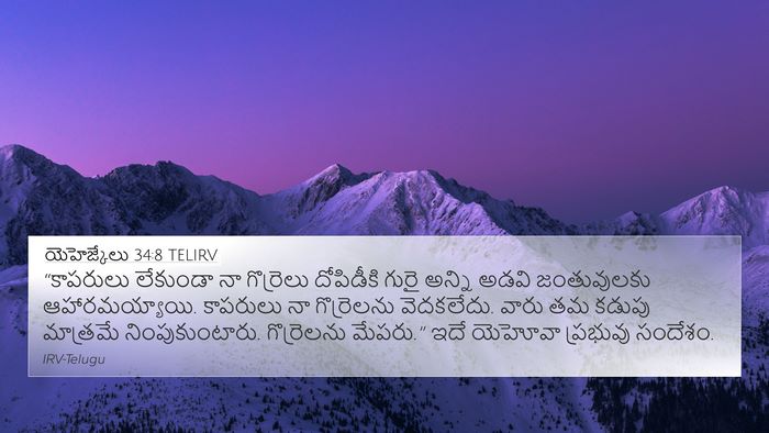 యెహెజ్కేలు 34:8 TELIRV Bible Verse Image