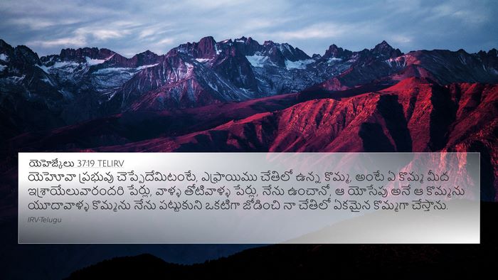 యెహెజ్కేలు 37:19 TELIRV Bible Verse Image