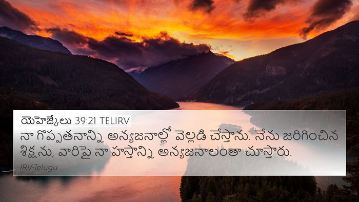 యెహెజ్కేలు 39:21 TELIRV Bible Verse Image