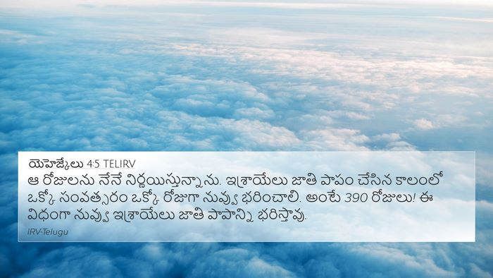 యెహెజ్కేలు 4:5 TELIRV Bible Verse Image