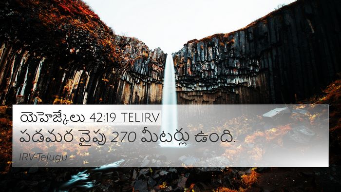 యెహెజ్కేలు 42:19 TELIRV Bible Verse Image