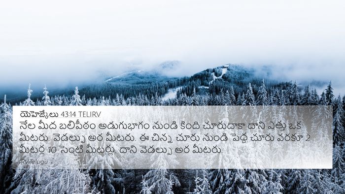యెహెజ్కేలు 43:14 TELIRV Bible Verse Image