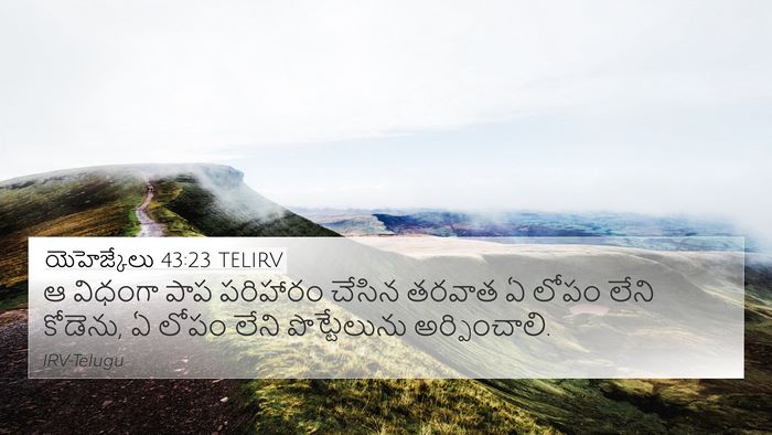 యెహెజ్కేలు 43:23 TELIRV 4K Wallpaper - ఆ విధంగా పాప - 4K Wallpaper Bible Verse