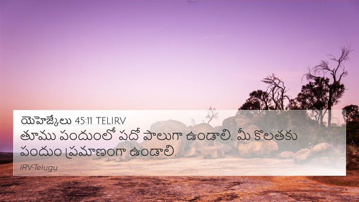 యెహెజ్కేలు 45:11 TELIRV Bible Verse Image