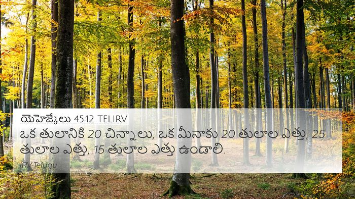 యెహెజ్కేలు 45:12 TELIRV Bible Verse Image