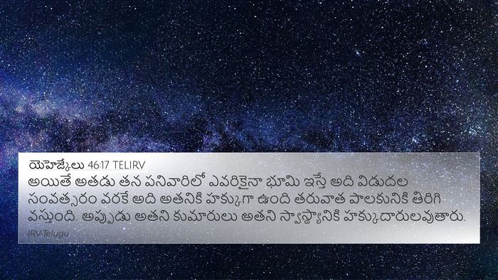 యెహెజ్కేలు 46:17 TELIRV Bible Verse Image