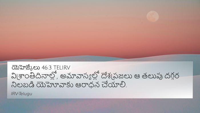యెహెజ్కేలు 46:3 TELIRV Bible Verse Image