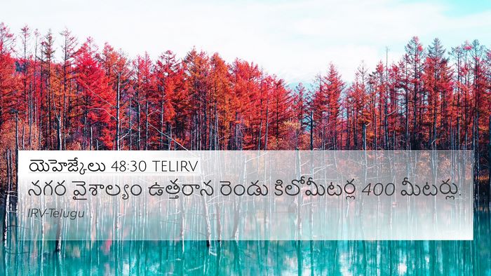 యెహెజ్కేలు 48:30 TELIRV Bible Verse Image