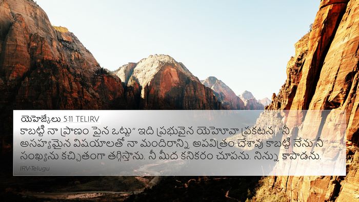 యెహెజ్కేలు 5:11 TELIRV Bible Verse Image