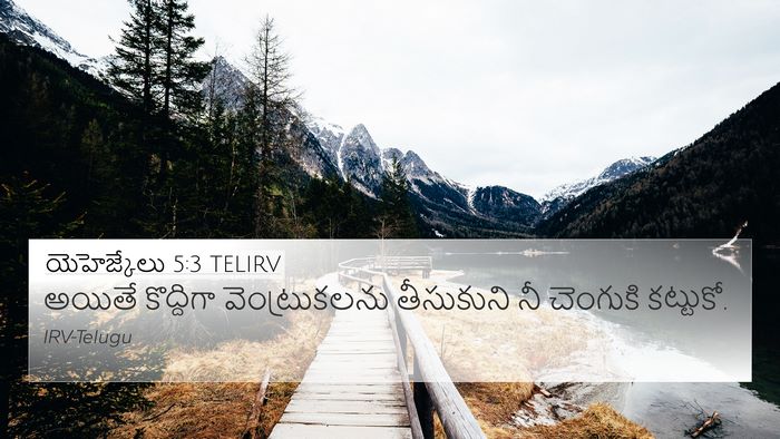 యెహెజ్కేలు 5:3 TELIRV Bible Verse Image