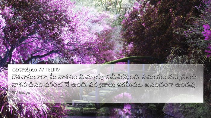 యెహెజ్కేలు 7:7 TELIRV Bible Verse Image