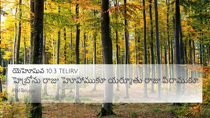 యెహోషువ 10:3 TELIRV Bible Verse Image