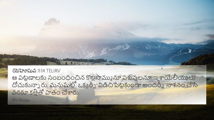 యెహోషువ 11:14 TELIRV 4K Wallpaper - ఆ పట్టణాలకు - 4K Wallpaper Bible Verse