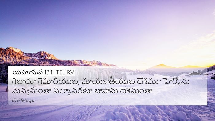 యెహోషువ 13:11 TELIRV Bible Verse Image