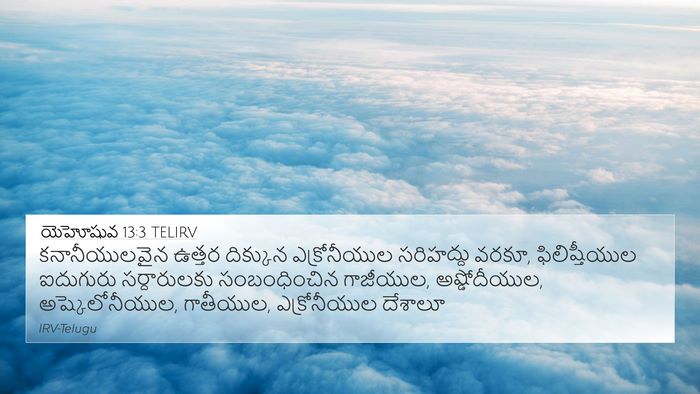 యెహోషువ 13:3 TELIRV Bible Verse Image