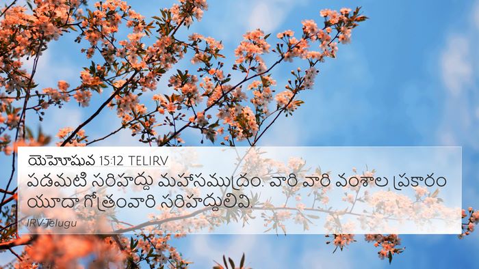 యెహోషువ 15:12 TELIRV 4K Wallpaper - పడమటి సరిహద్దు - 4K Wallpaper Bible Verse