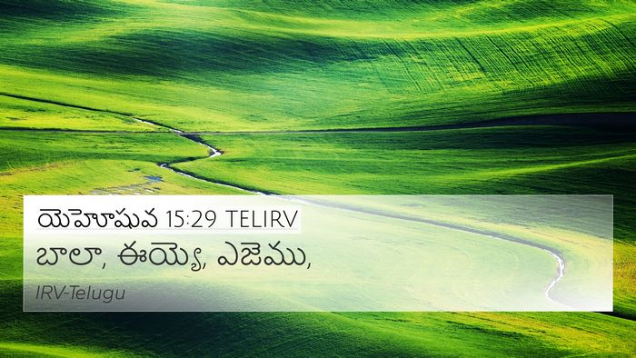 యెహోషువ 15:29 TELIRV 4K Wallpaper - బాలా, ఈయ్యె, - 4K Wallpaper Bible Verse