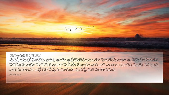 యెహోషువ 17:2 TELIRV Bible Verse Image