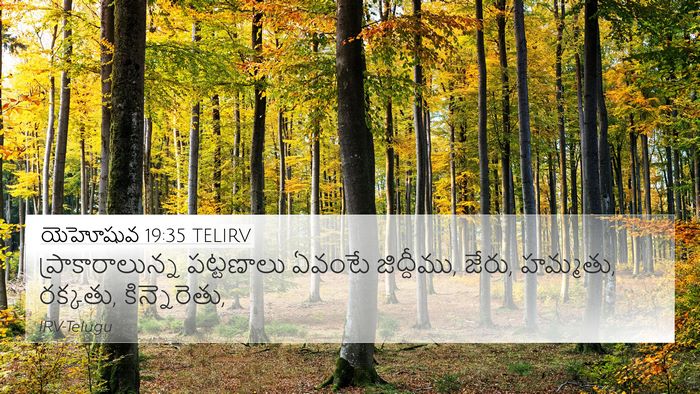 యెహోషువ 19:35 TELIRV 4K Wallpaper - ప్రాకారాలున్న - 4K Wallpaper Bible Verse
