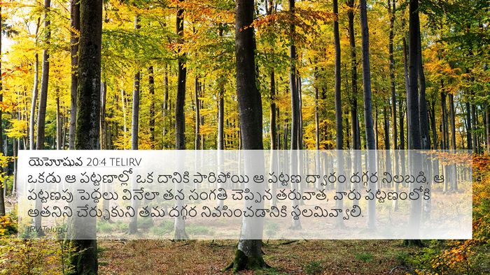 యెహోషువ 20:4 TELIRV 4K Wallpaper - ఒకడు ఆ పట్టణాల్లో - 4K Wallpaper Bible Verse