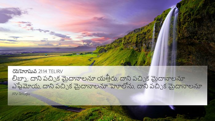 యెహోషువ 21:14 TELIRV Bible Verse Image
