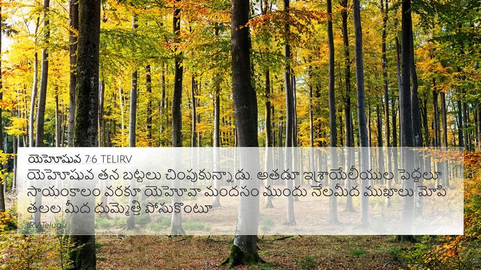 యెహోషువ 7:6 TELIRV Bible Verse Image