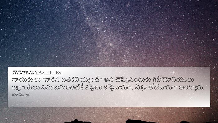 యెహోషువ 9:21 TELIRV Bible Verse Image
