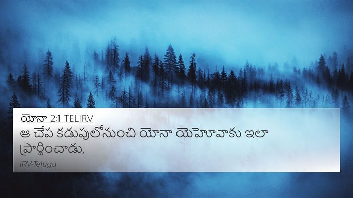 యోనా 2:1 TELIRV Bible Verse Image