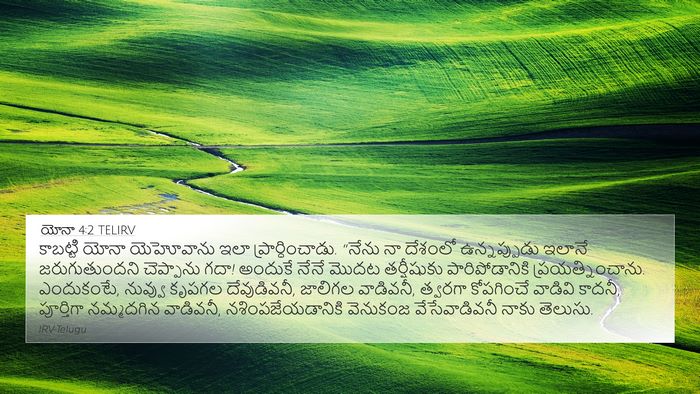 యోనా 4:2 TELIRV Bible Verse Image