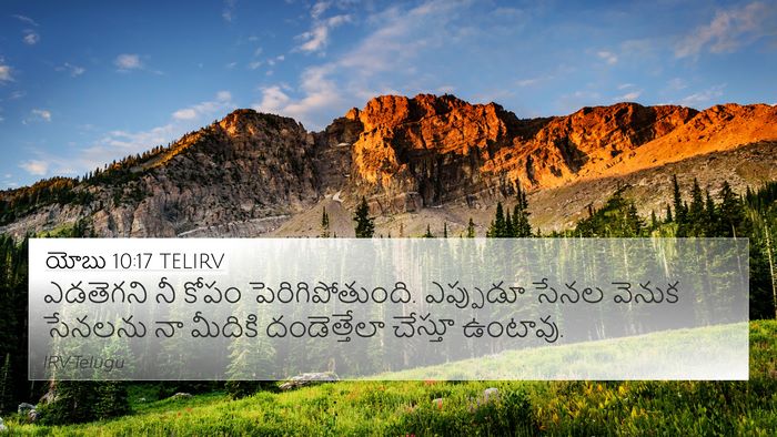 యోబు 10:17 TELIRV Bible Verse Image