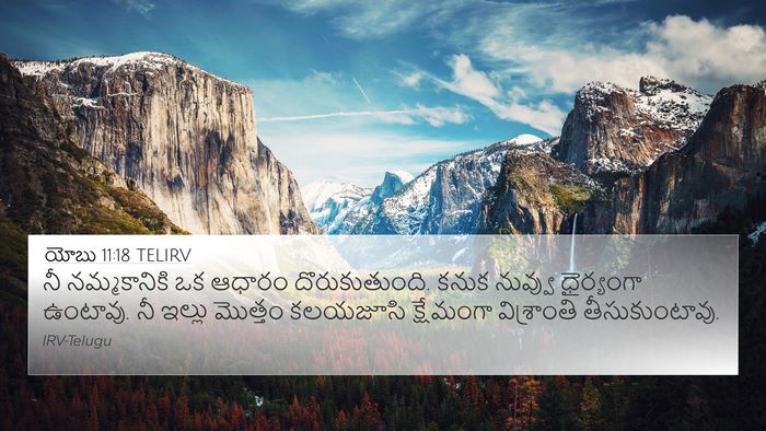 యోబు 11:18 TELIRV Bible Verse Image