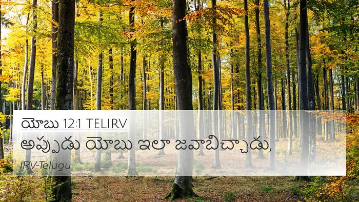యోబు 12:1 TELIRV 4K Wallpaper - అప్పుడు యోబు ఇలా - 4K Wallpaper Bible Verse