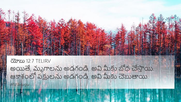యోబు 12:7 TELIRV Bible Verse Image