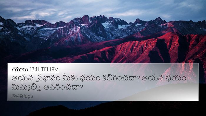 యోబు 13:11 TELIRV Bible Verse Image