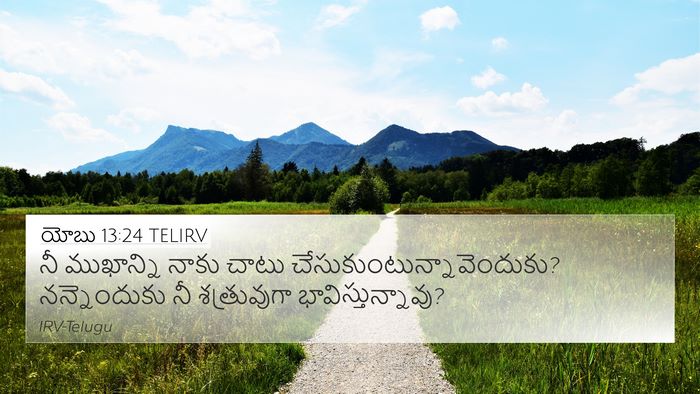యోబు 13:24 TELIRV Bible Verse Image